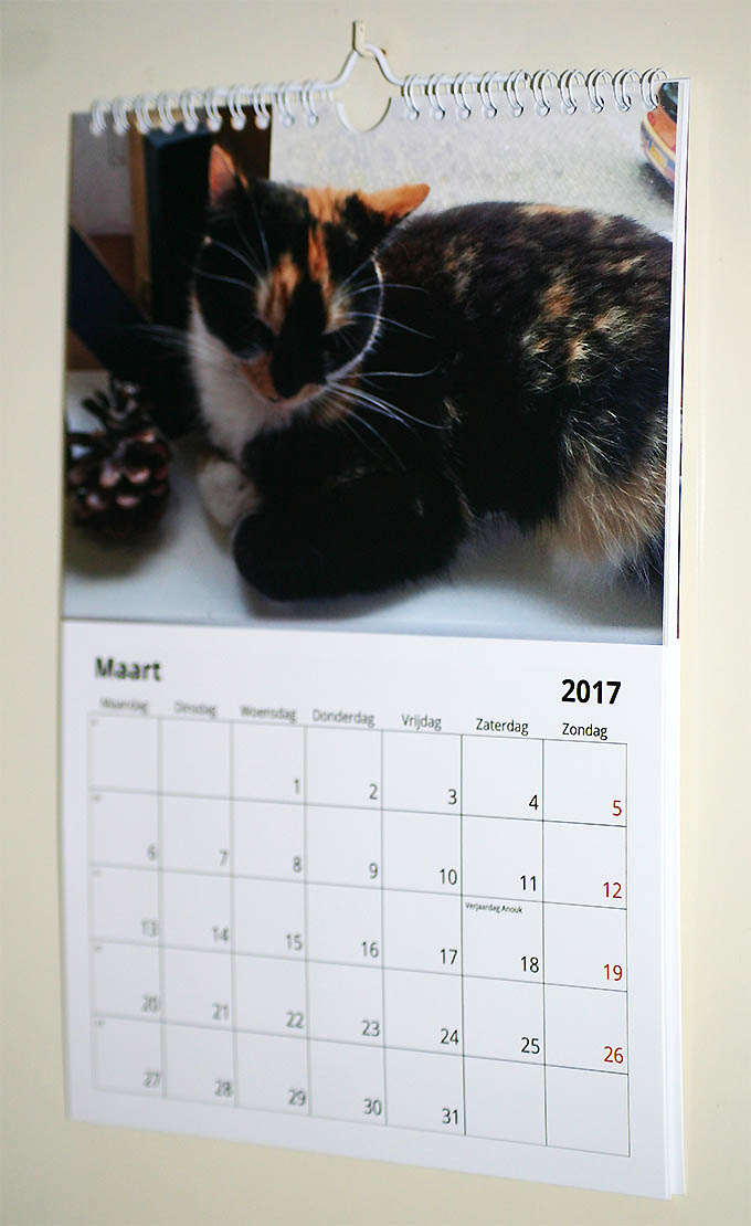 Albelli fotokalender 2017